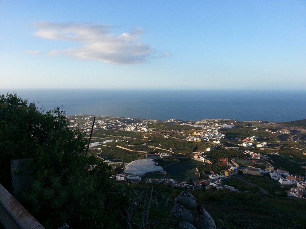 Plantación de plataneras vista desde la montaña de Arucas, en Gran Canaria (imagen de archivo)