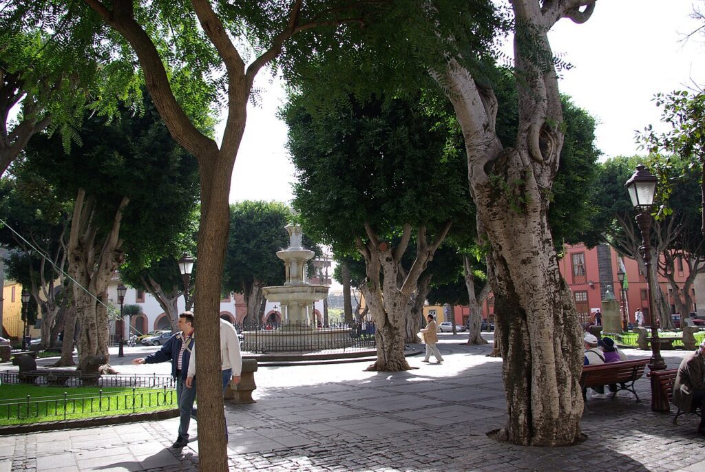 Plaza del Adelantado, en La Laguna (imagen de archivo)