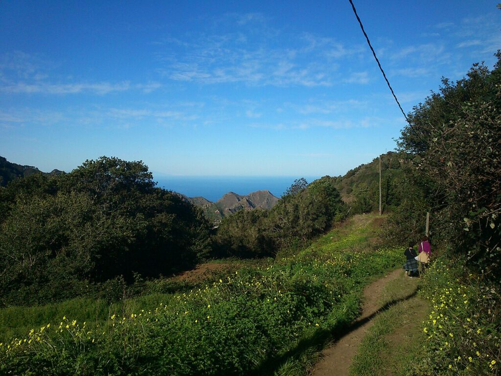 Sendero que parte de la Cruz del Carmen, en Anaga (imagen de archivo)