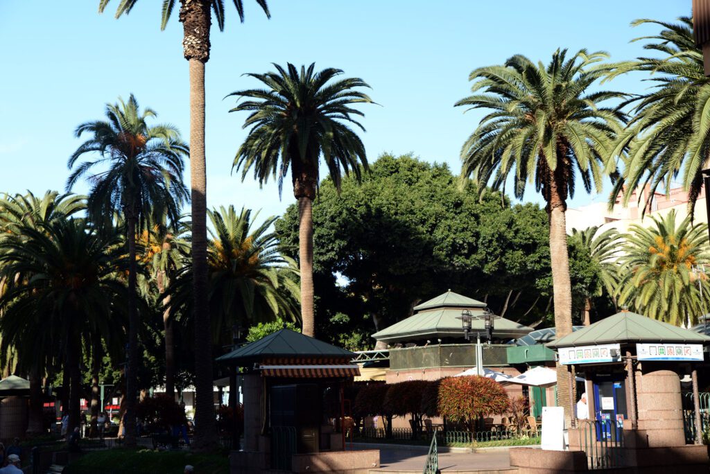 Plaza del Charco, en Puerto de la Cruz