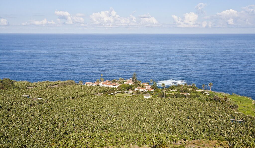 Vista de la costa de Los Realejos desde el mirador de San Pedro