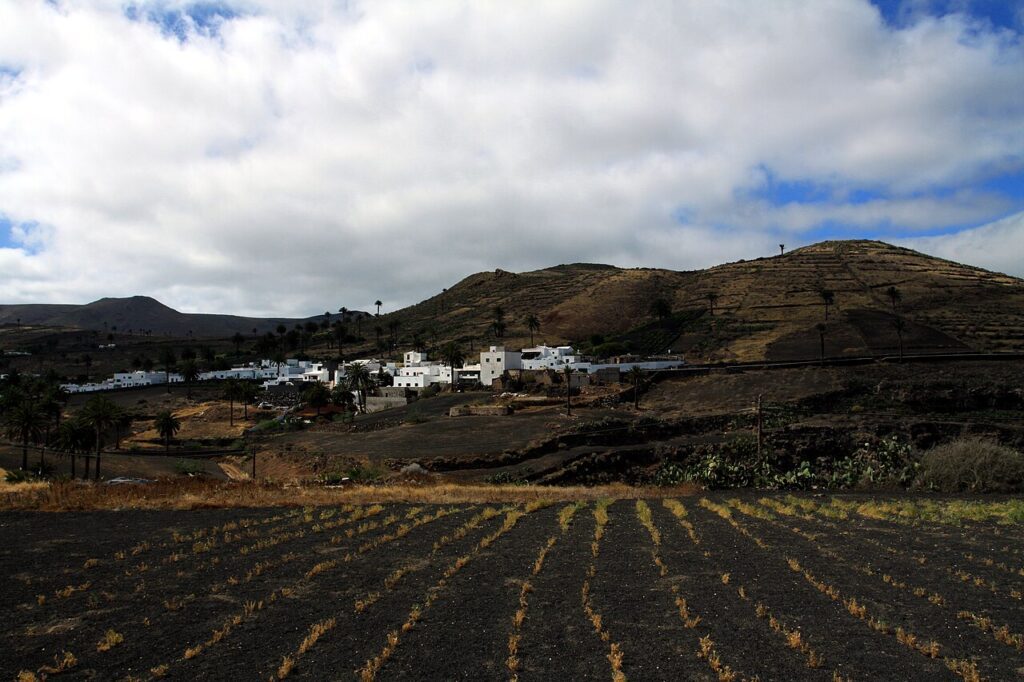 Campo de cultivo en Haría, Lanzarote