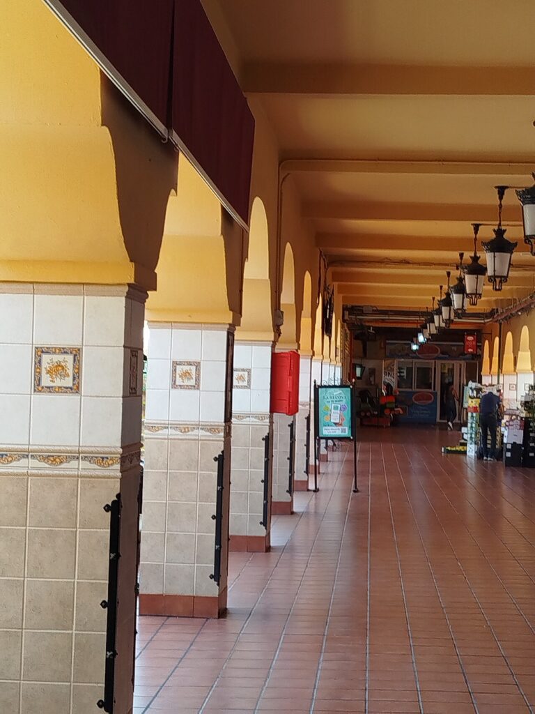 Mercado de Nuestra Señora de África, en Santa Cruz de Tenerife
