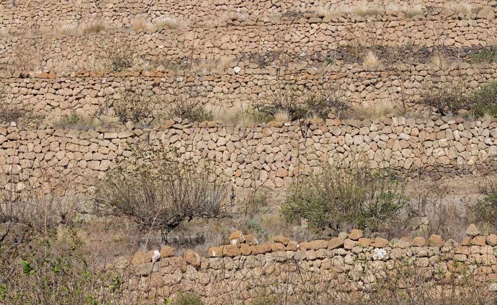 Bancales en Arafo, Tenerife