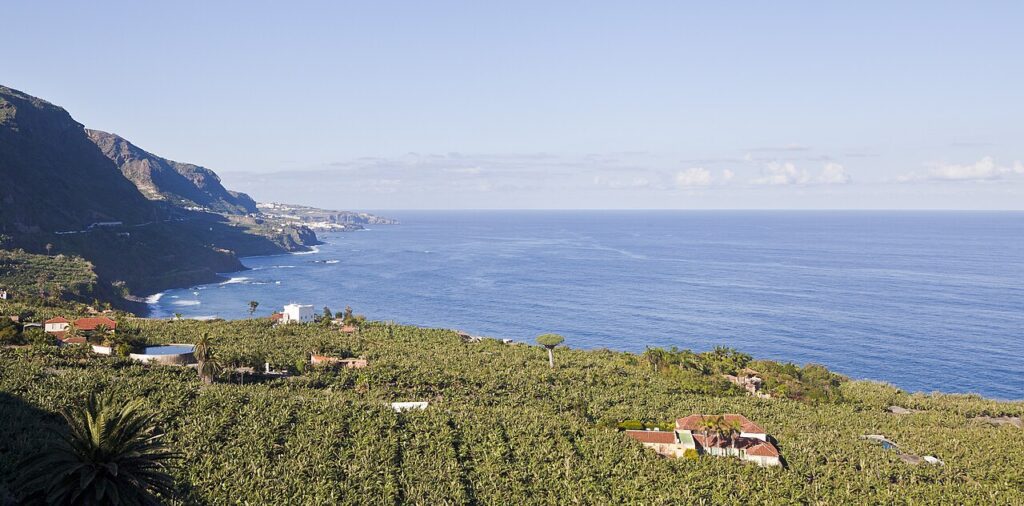 Vista de Los Realejos desde el mirador de San Pedro