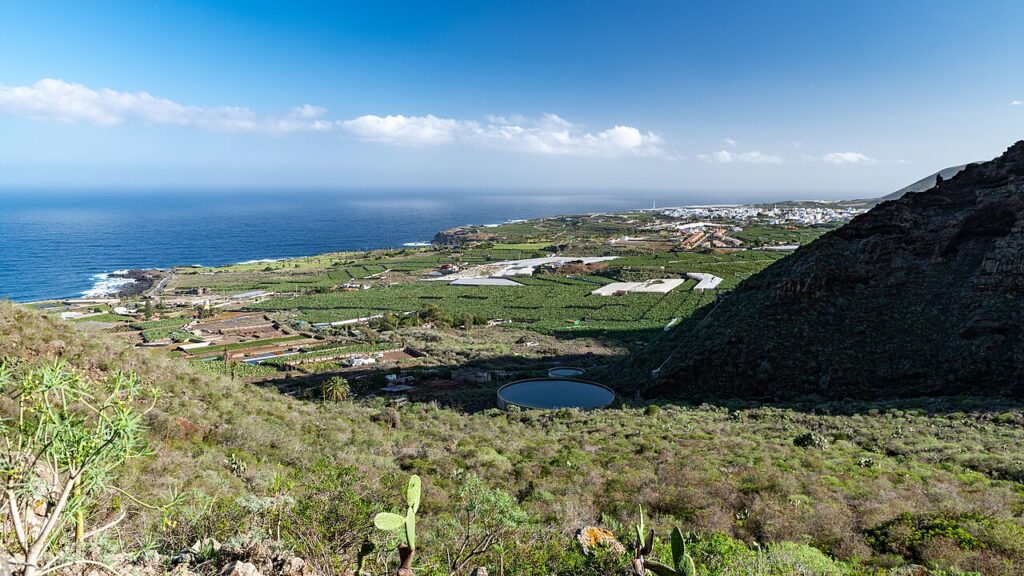 Plataneras cerca de Buenavista del Norte, en Tenerife