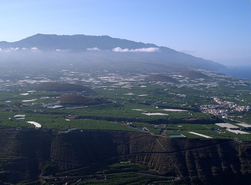 Platanera en la isla de La Palma