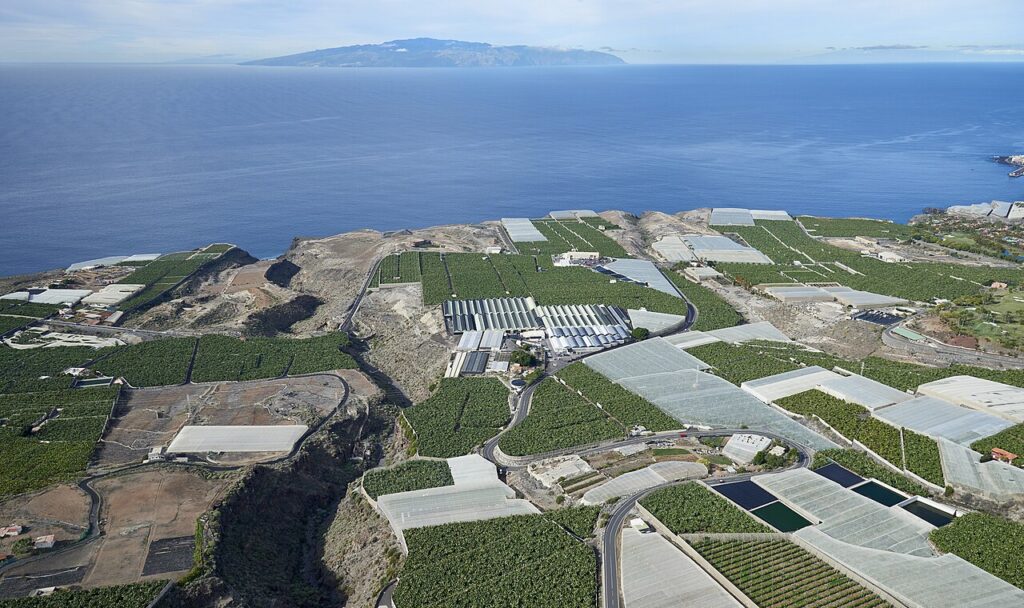 Vista aérea de plataneras en Tenerife