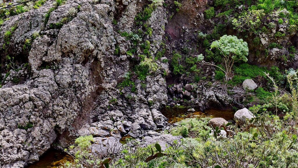 Barranco de Chamorga, en el Parque Rural de Anaga