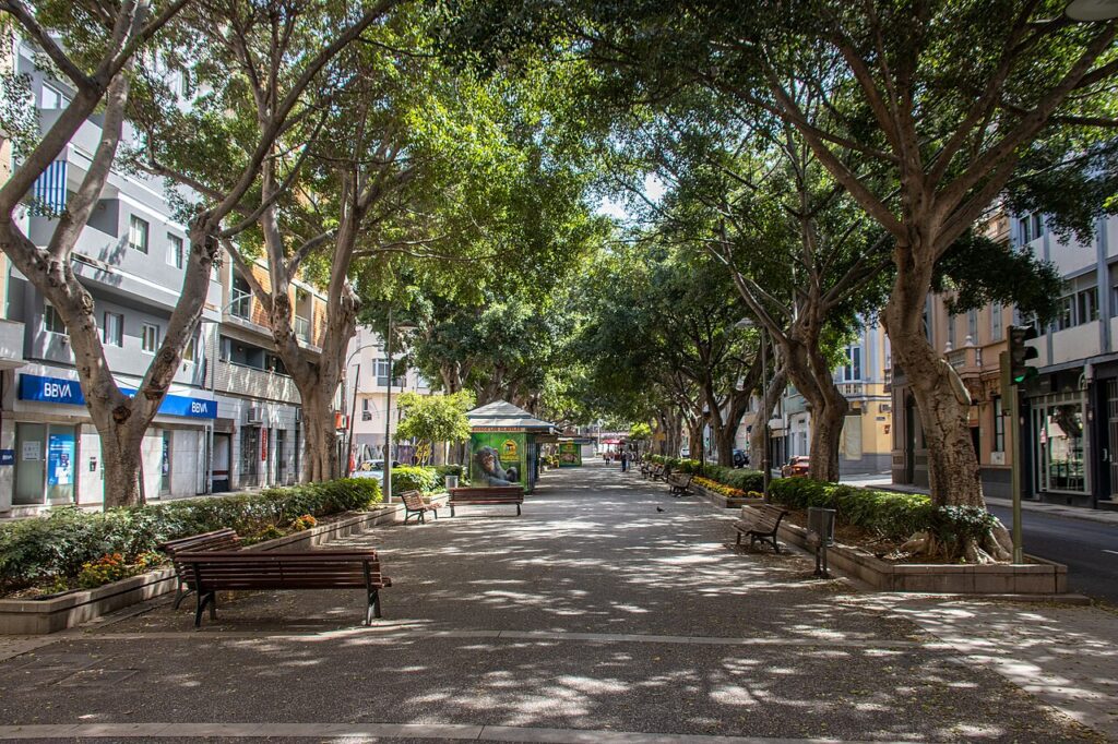 La Rambla de Santa Cruz de Tenerife, en una imagen de archivo