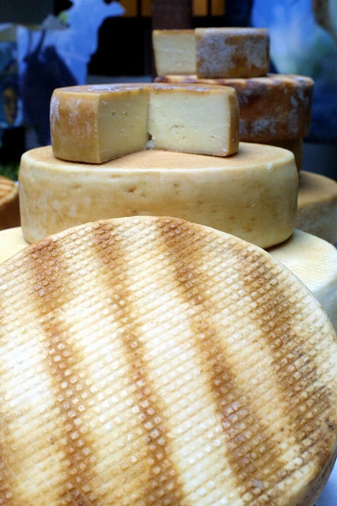 Queso palmero, uno de los quesos con denominación de origen de Canarias