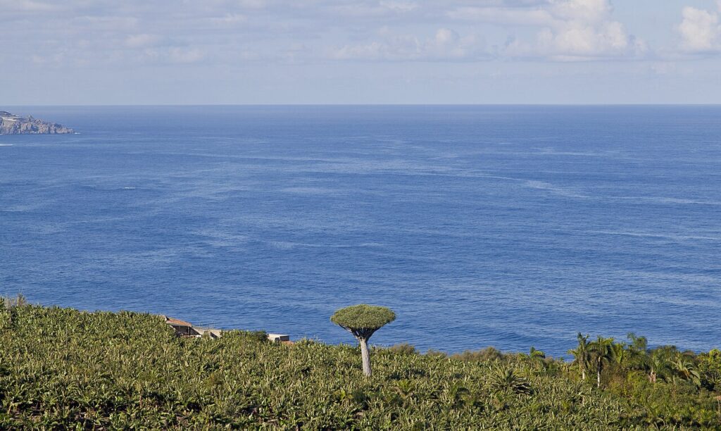 Vista desde el mirador de San Pedro, en Los Realejos, en una imagen de archivo