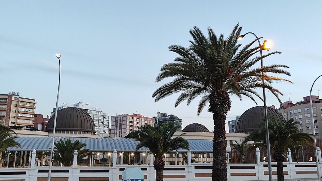 Colegio público El Chapatal, en Santa Cruz de Tenerife, visto desde el parque La Granja, en una imagen de archivo