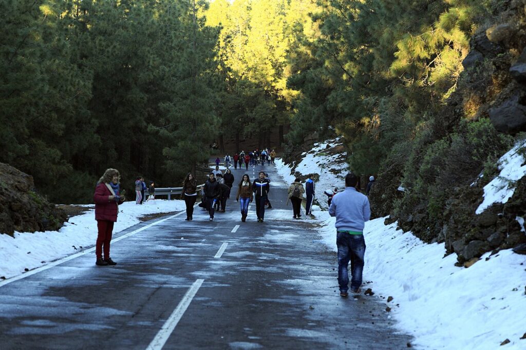 Carretera TF-21 en el monte de La Orotava