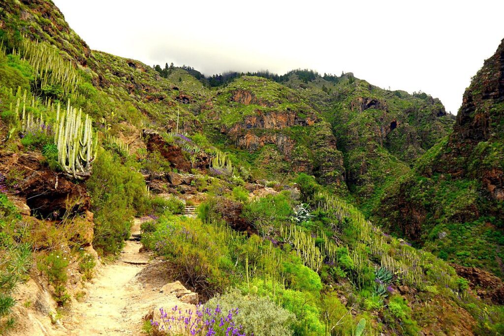 Sendero del Barranco del Infierno, en Adeje