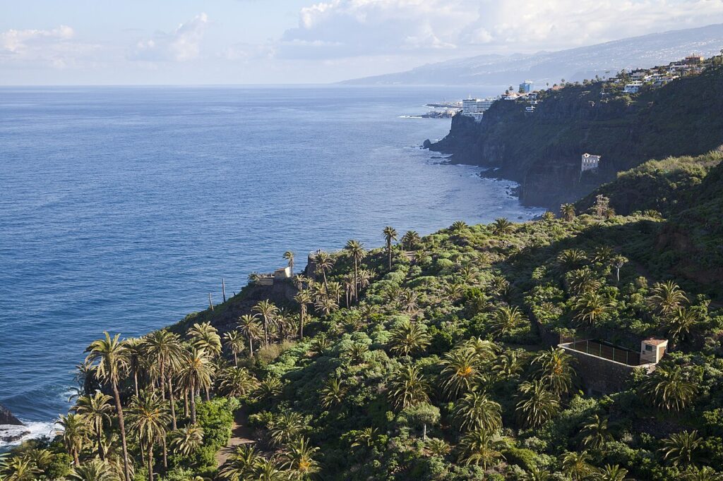 Vista de Los Realejos desde el mirador de San Pedro