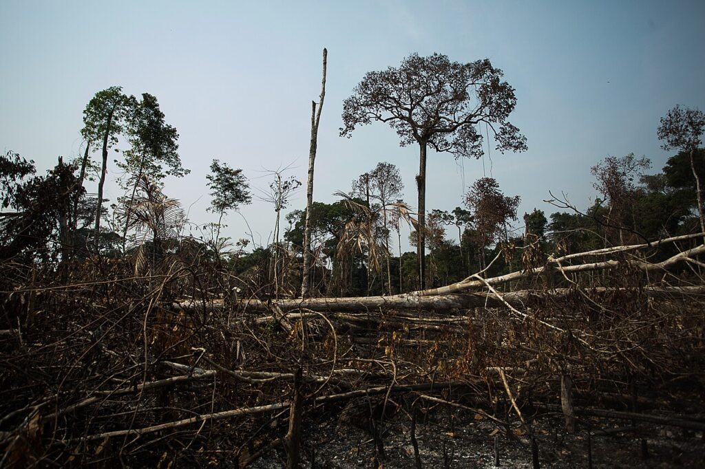 Zona deforestada de la Amazonía brasileña, en una imagen de archivo de 2020