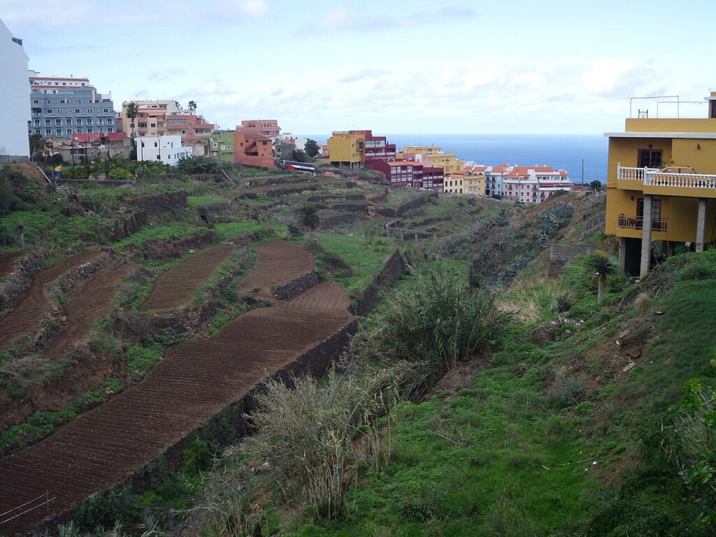 Bancales de la zona baja de Los Realejos, vistos desde la TF-5