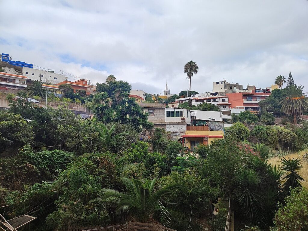 Vista panorámica de Tejina, en el municipio de La Laguna (Tenerife)