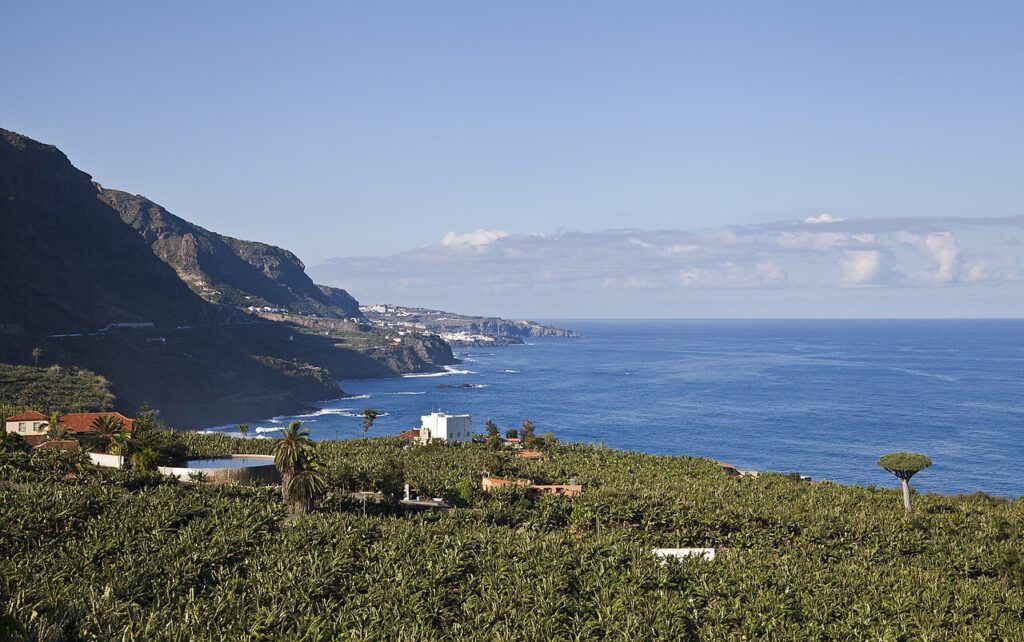 Vista de Los Realejos desde el mirador de San Pedro