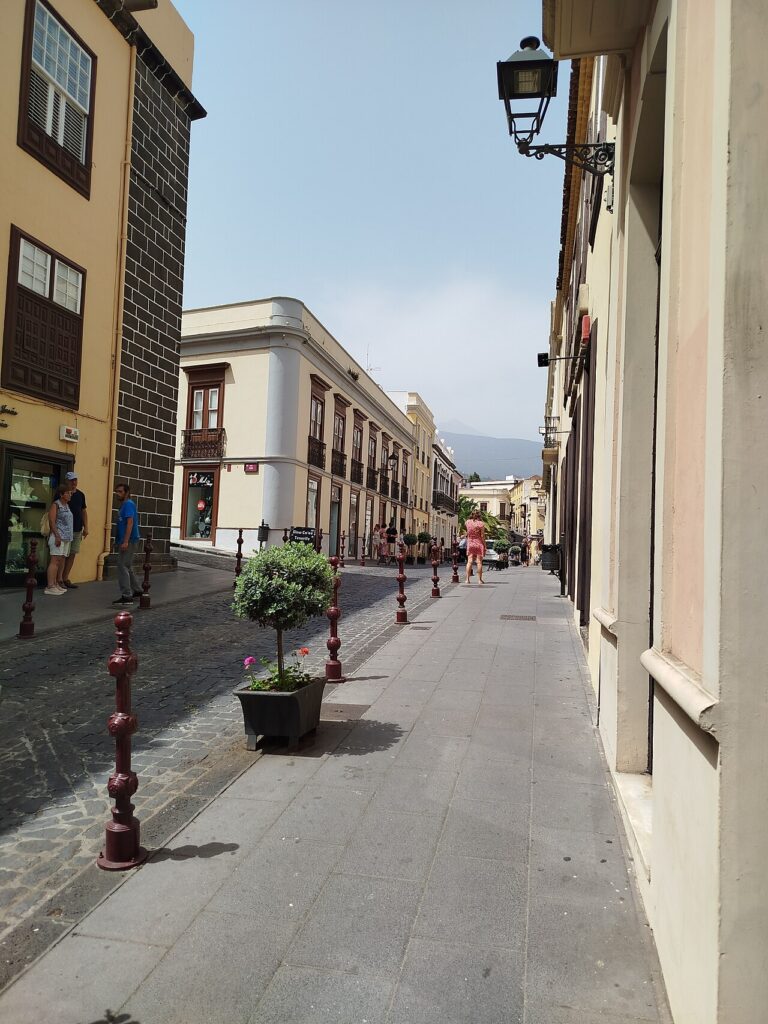 Vista de La Orotava (Tenerife)
