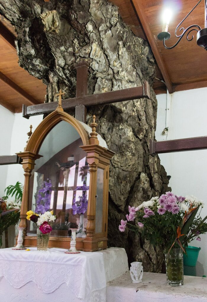 Capilla de El Pino, en Arafo (Tenerife)