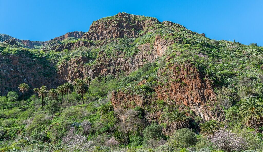Barranco de Guayadeque, en Gran Canaria