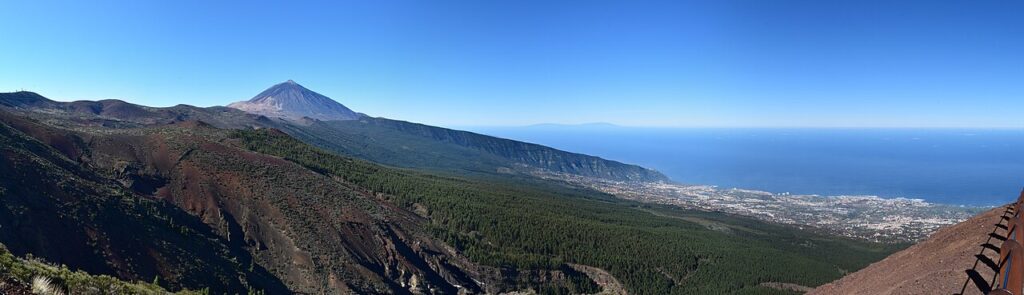 Pinar de la Corona Forestal de Tenerife, con el Teide al fondo