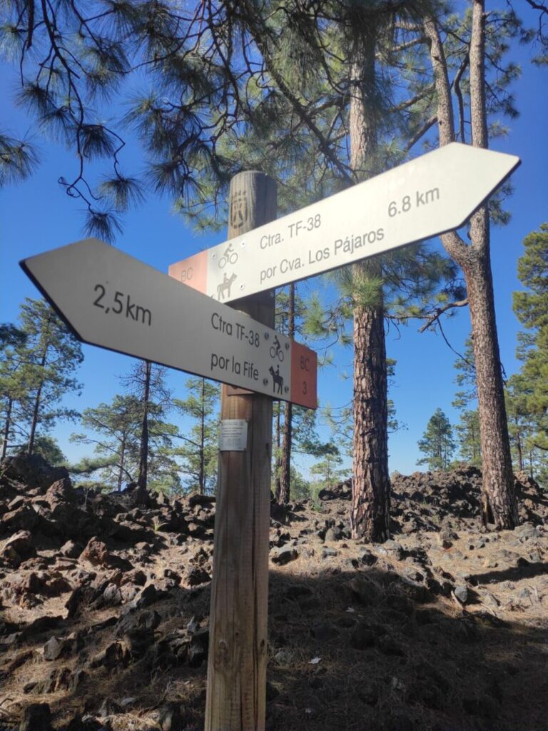 Sendero por el pinar de la Corona Forestal, en Guía de Isora