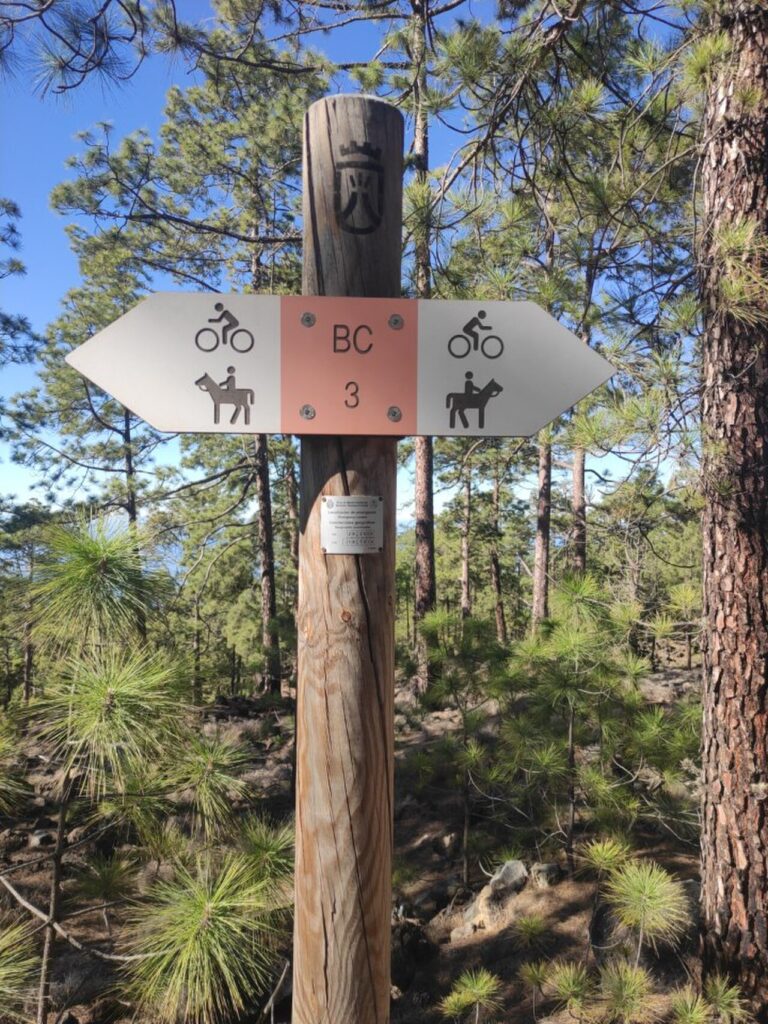 Pinar de la Corona Forestal en Guía de Isora, Tenerife