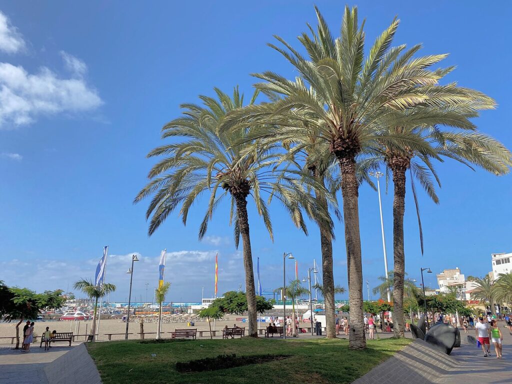 Una avenida de Los Cristianos, en el municipio de Arona