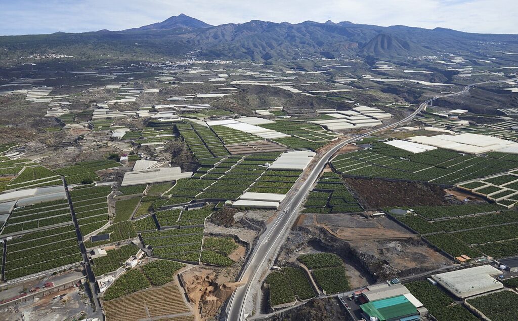 Vista aérea de plantaciones en Tenerife