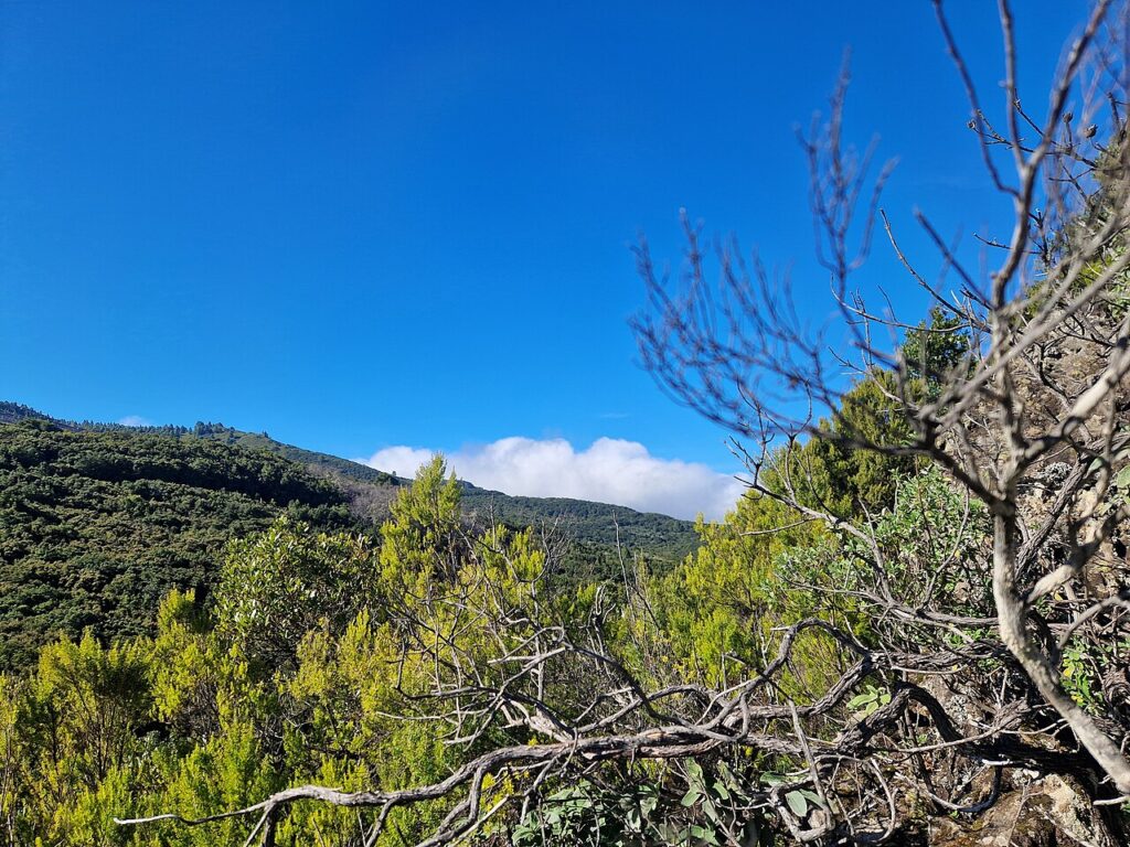 Nubes acercándose a las montañas de La Palma desde el Roque Niquiomo, en Villa de Mazo (imagen de archivo)