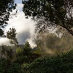Nubes sobre el bosque del Parque Nacional de Garajonay, en La Gomera (imagen de archivo)
