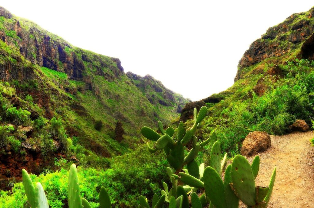 Barranco del Infierno, en Adeje, Tenerife (imagen de archivo)