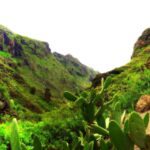 Barranco del Infierno, en Adeje, Tenerife (imagen de archivo)