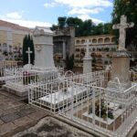 Vista general del cementerio municipal de La Orotava (imagen de archivo)