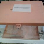 Urnas preparadas en un colegio electoral (imagen de archivo)