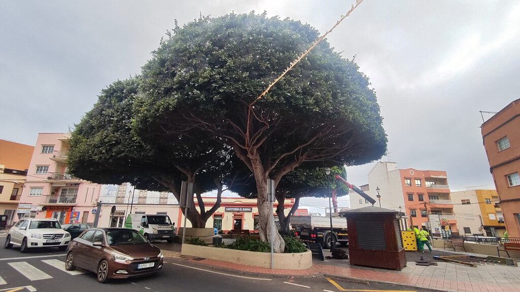Plaza Manuel Hernández, en Tejina, La Laguna (imagen de archivo)