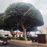Plaza Manuel Hernández, en Tejina, La Laguna (imagen de archivo)