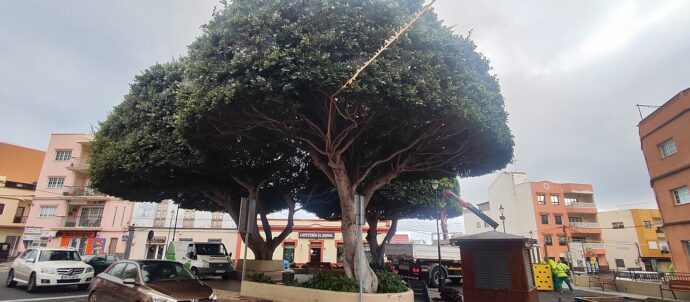 La Laguna adjudica la construcción de 50 viviendas protegidas en Tejina