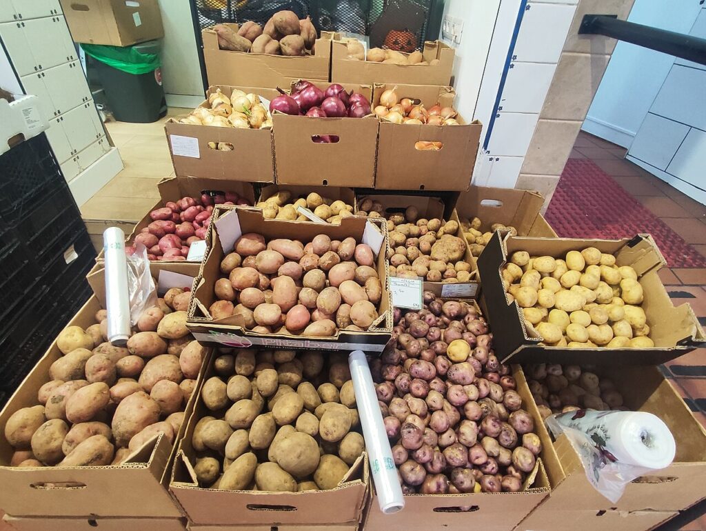 Puestos del Mercado de Nuestra Señora de África, en Santa Cruz de Tenerife (imagen de archivo)